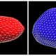 Views of Kleopatra’s two lobes, as seen from multiple angles.